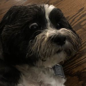 Meet your Posher, Dylan